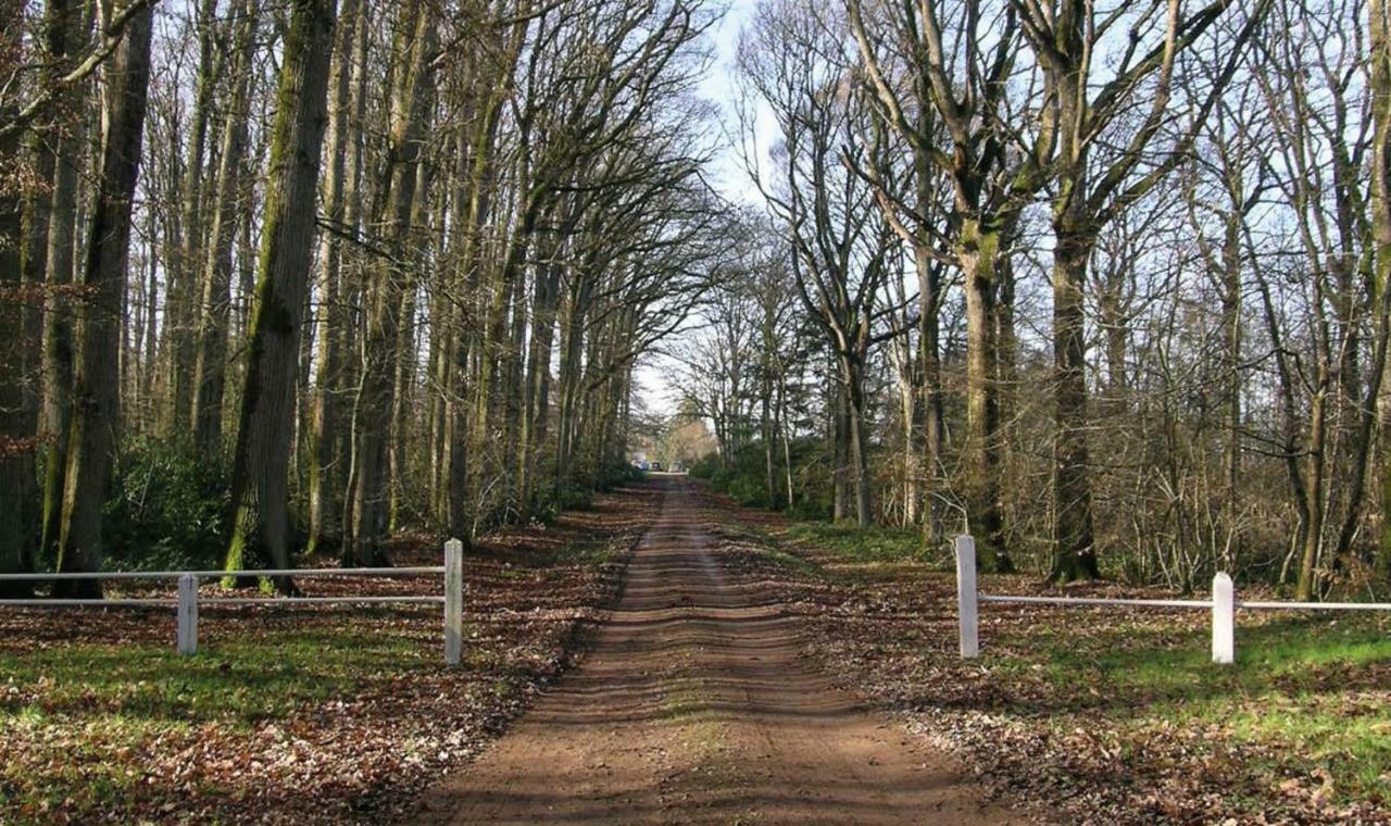 Domaine de la Haute-Porte Souvigné-sur-Sarthe Extérieur photo