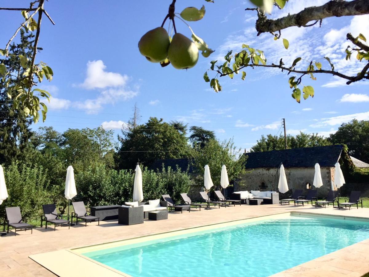Domaine de la Haute-Porte Souvigné-sur-Sarthe Extérieur photo